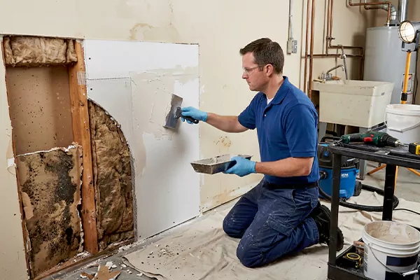 Mold and Drywall Repair Aliso Viejo