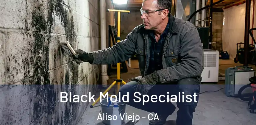 Black Mold Specialist Aliso Viejo - CA