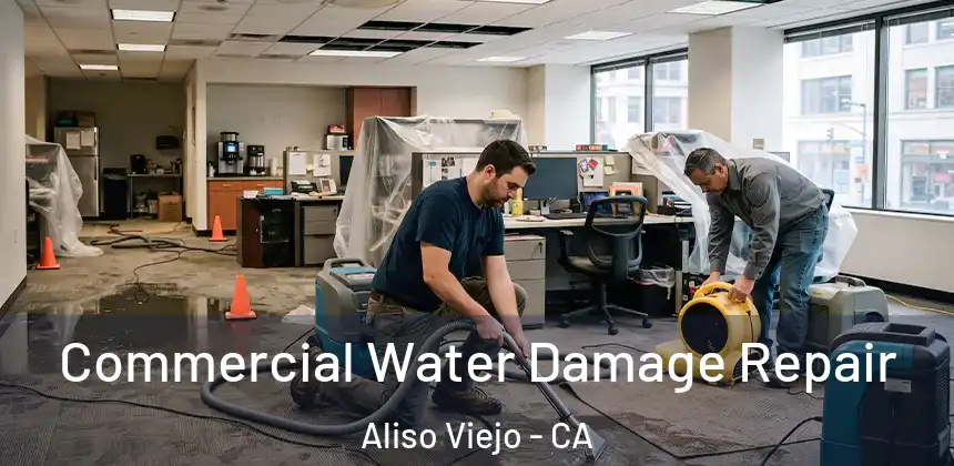  Commercial Water Damage Repair Aliso Viejo - CA