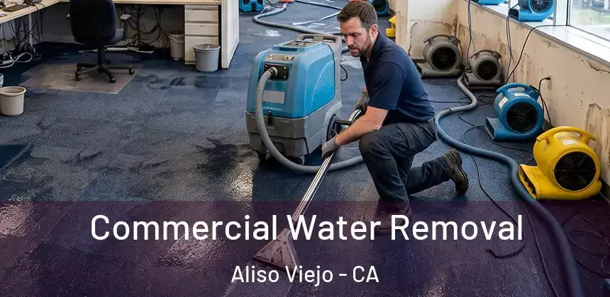 Commercial Water Removal Aliso Viejo - CA