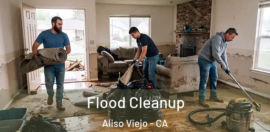  Flood Cleanup Aliso Viejo - CA