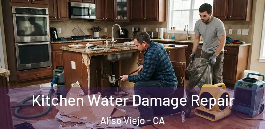  Kitchen Water Damage Repair Aliso Viejo - CA