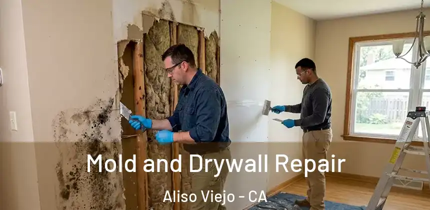 Mold and Drywall Repair Aliso Viejo - CA
