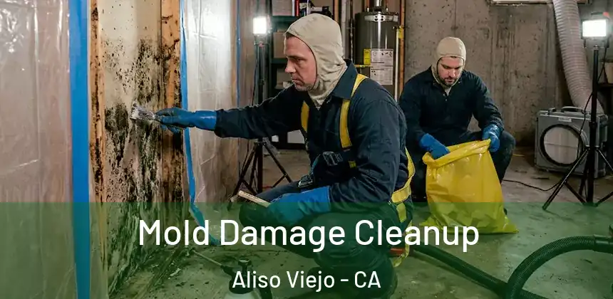  Mold Damage Cleanup Aliso Viejo - CA