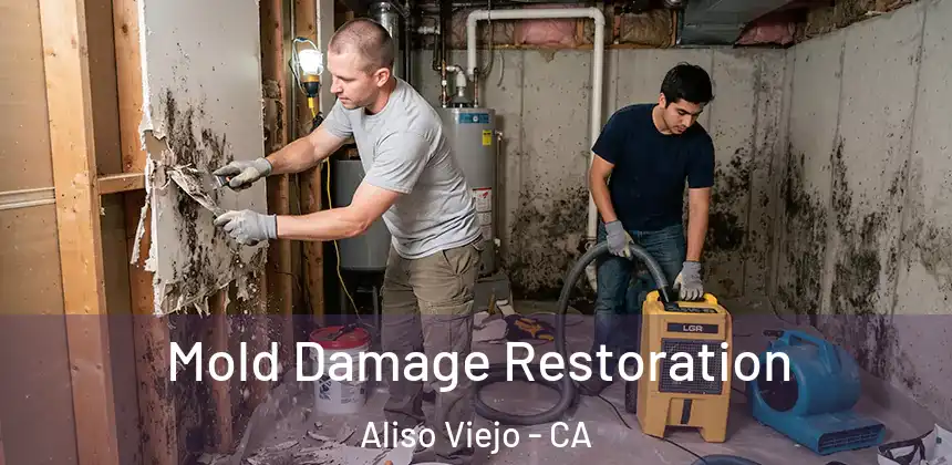 Mold Damage Restoration Aliso Viejo - CA