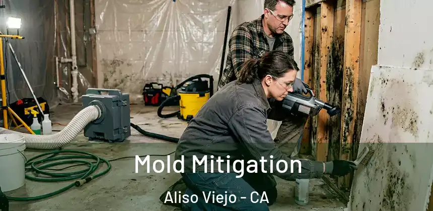  Mold Mitigation Aliso Viejo - CA