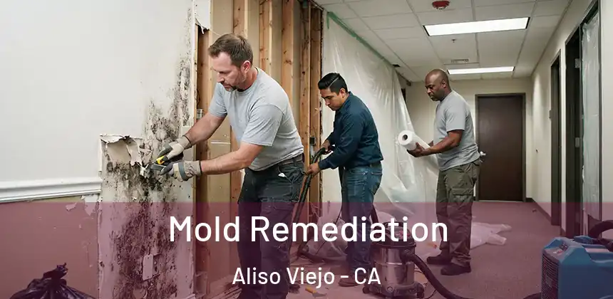  Mold Remediation Aliso Viejo - CA