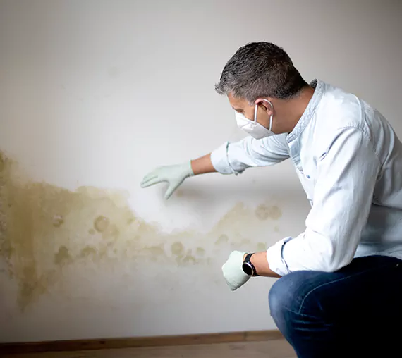 Mold Removal Service in Aliso Viejo, CA