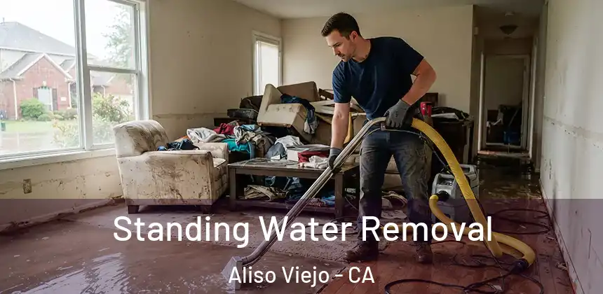  Standing Water Removal Aliso Viejo - CA