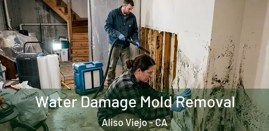 Water Damage Mold Removal Aliso Viejo - CA