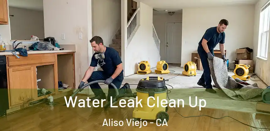  Water Leak Clean Up Aliso Viejo - CA
