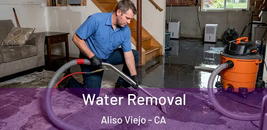  Water Removal Aliso Viejo - CA